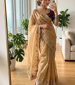 Chiku Color sequence And  embroidery work Satin Saree