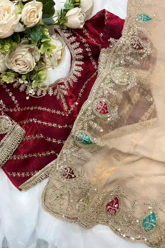 Chiku Color sequence And  embroidery work Satin Saree
