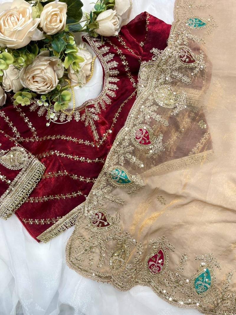 Chiku Color sequence And  embroidery work Satin Saree