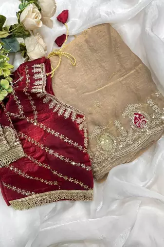 Chiku Color sequence And  embroidery work Satin Saree