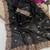 Black Color Beeds Work Silk Blend Saree
