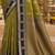 sangam prints olive green soft silk blend woven work traditional saree