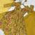 Yellow floral printed chanderi kurta palazzo set