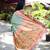 Mint green paithani silk blend saree with contrast peach zari border
