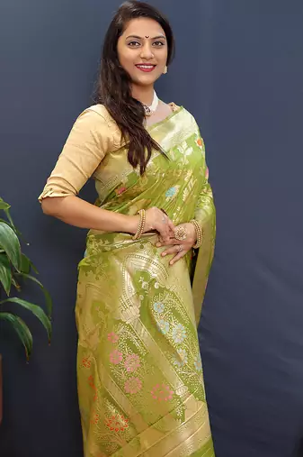 Light green banarasi silk blend saree with all-over gold zari floral jaal