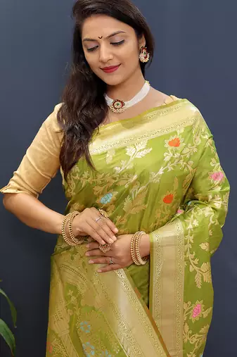 Light green banarasi silk blend saree with all-over gold zari floral jaal