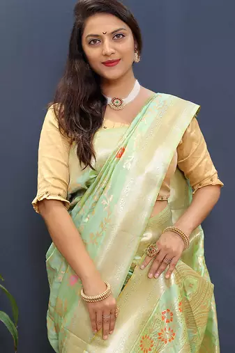 Mint green banarasi silk blend saree with all-over gold zari floral jaal