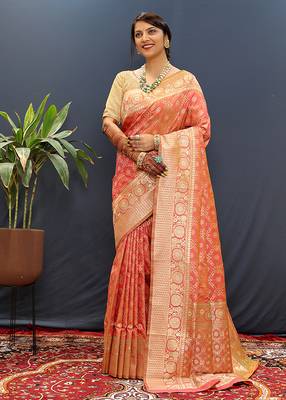 Red silk blend banarasi saree with all-over gold zari jaal work 2