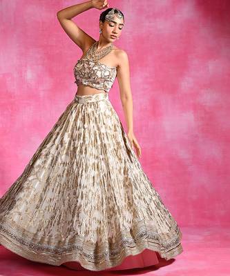 Ivory Embroidered Georgette Organza Lehenga Set 2