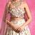Ivory Embroidered Georgette Organza Lehenga Set