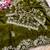 Mehndi Green Color sequence And embroidery work Satin Saree