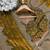 Mustard Color embroidery And sequence work Chiffon Saree