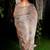 Devika cotton Blend mix handloom saree 