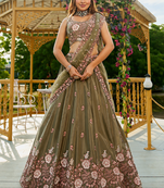 Women's Olive Green Zari Sequence Embroidery Work Lehenga Choli 