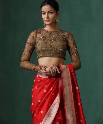 Brown embroidered net blouse 1