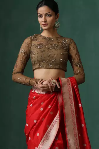 Brown embroidered net blouse