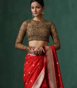 Brown embroidered net blouse