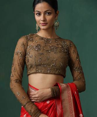 Brown embroidered net blouse 2