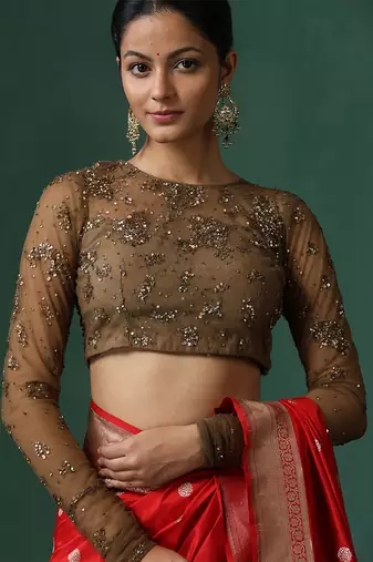 Brown embroidered net blouse