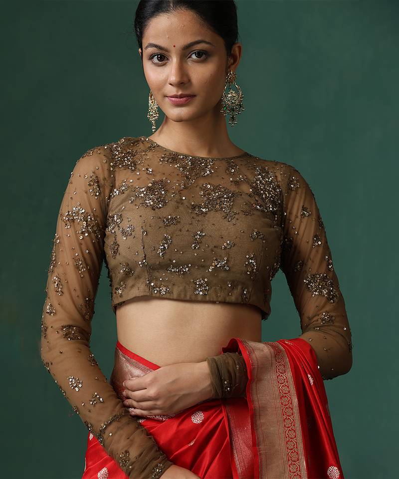 Brown embroidered net blouse