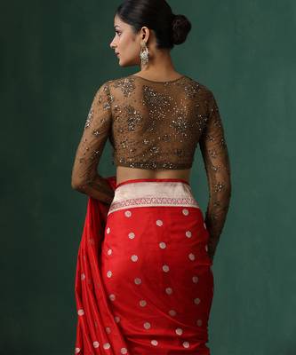 Brown embroidered net blouse 3