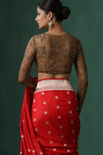 Brown embroidered net blouse