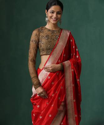Brown embroidered net blouse 4