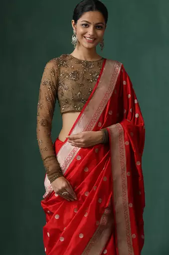 Brown embroidered net blouse