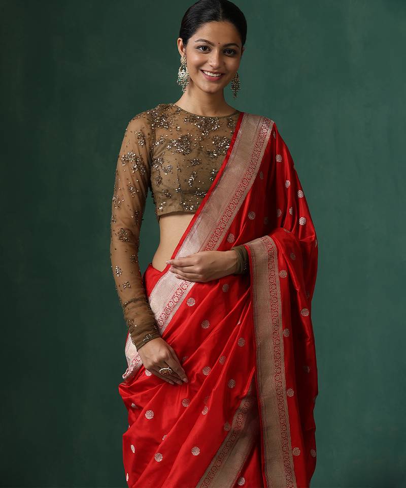 Brown embroidered net blouse