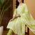 Women Ethnic Motifs Regular Kurta with Trousers & With Dupatta