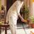 Women Floral Printed Regular Thread Work Kurta with Dhoti Pants