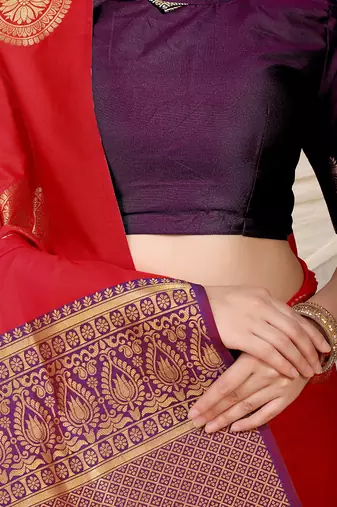 Red silk blend saree with wine zari border and circular motifs