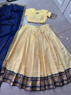 Regal Elegance Kanchipuram Zari Weaving Chaniya Choli 7