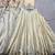 Shimmer Paithani Chaniya Choli with Zari Weaving 