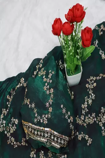 Green Color beads work chiffon saree 