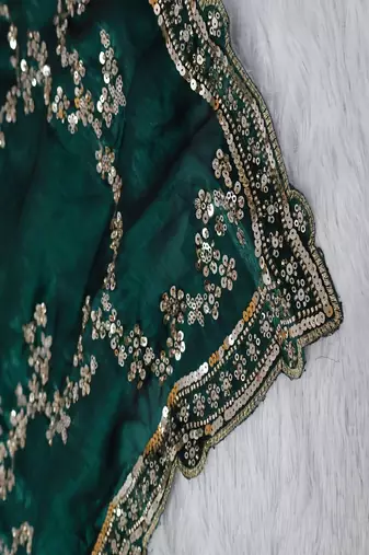 Green Color beads work chiffon saree 