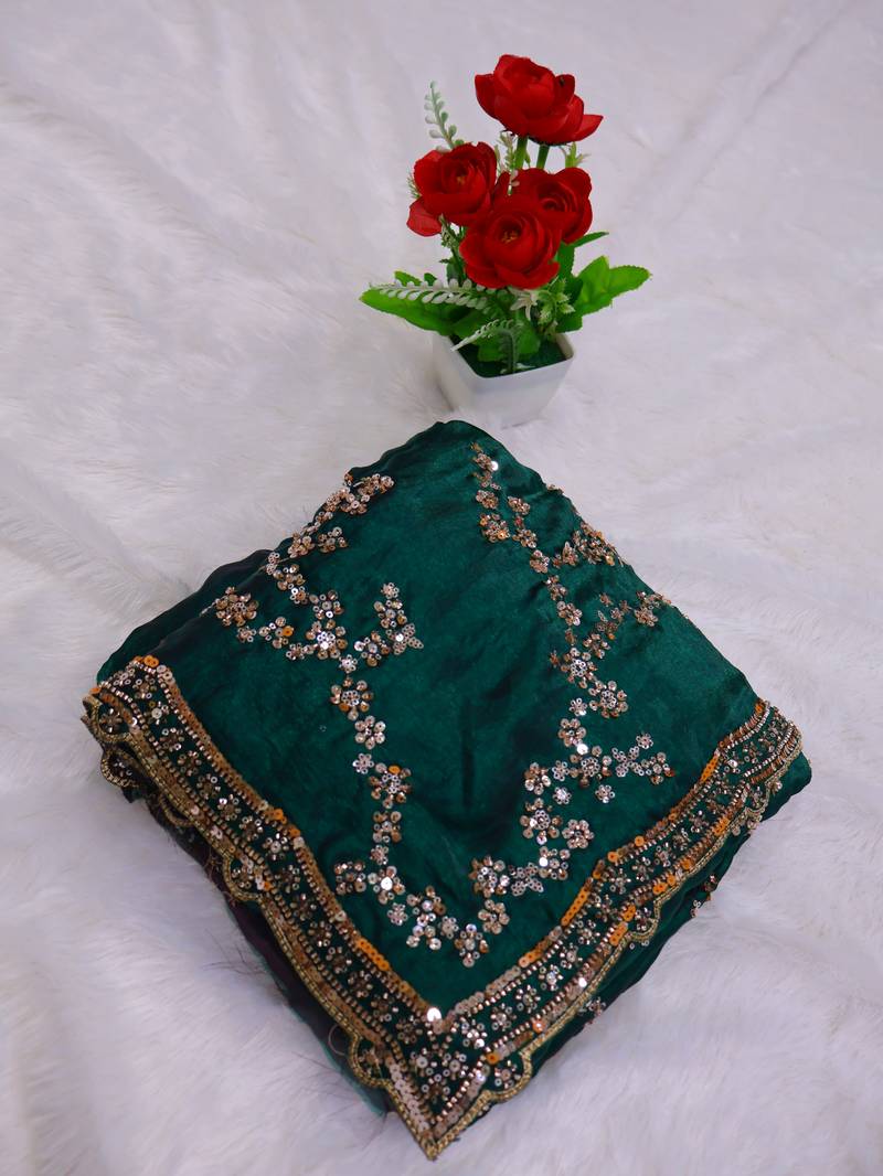 Green Color beads work chiffon saree 