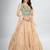 Rose Taupe Lehenga Choli