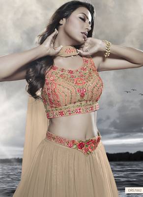 Beige Embroidered Lehenga Choli with dupatta 4