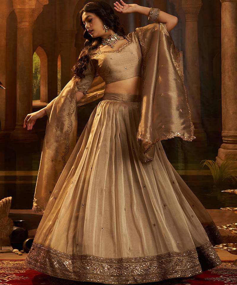 Royal Brown Organza Lehenga with Intricate Zari & Sequin Embroidery