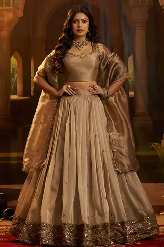 Royal Brown Organza Lehenga with Intricate Zari & Sequin Embroidery