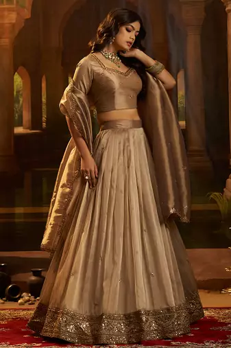 Royal Brown Organza Lehenga with Intricate Zari & Sequin Embroidery