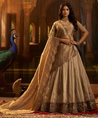Royal Brown Organza Lehenga with Intricate Zari & Sequin Embroidery 4