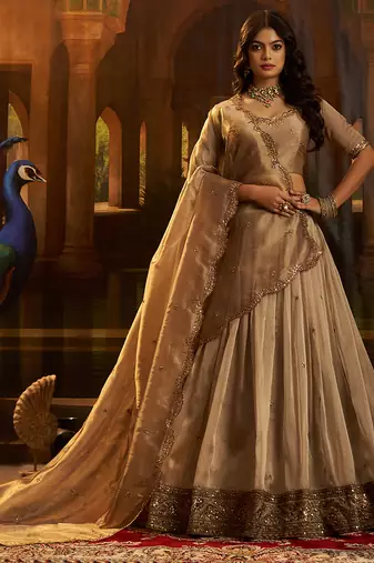 Royal Brown Organza Lehenga with Intricate Zari & Sequin Embroidery