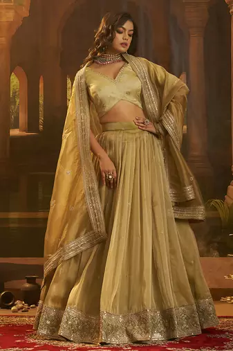 Elegant Olive Green Organza Embroidered Lehenga Choli with Art Silk Blouse