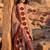Women Printed Regular Mirror Work Pure Cotton Kurta with Trousers & With Dupatta