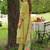 Women Floral Embroidered Regular Thread Work Kurta Trousers With Dupatta