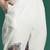 Floral Embroidered Pure Cotton Kurta with Trousers & Dupatta
