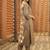 Women Ethnic Motifs Embroidered Regular Thread Work Kurta with Trousers