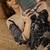 Women Floral Printed Regular Kurta with Trousers